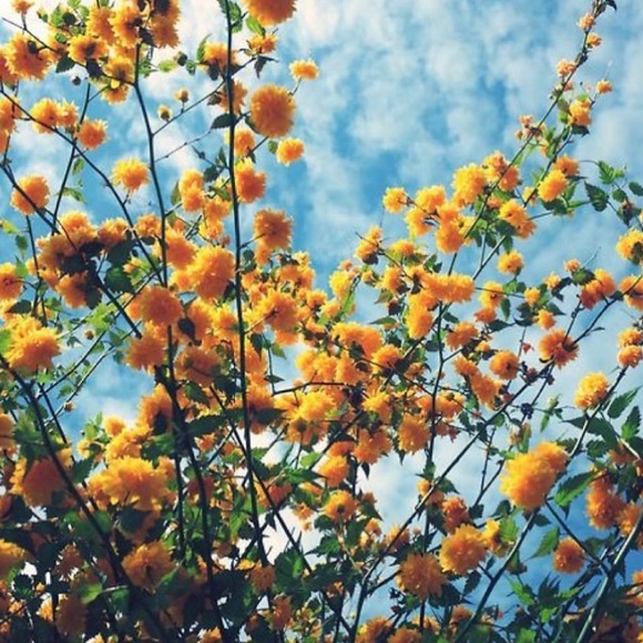 Meet your Posher, Jade - Picture 1 of 1